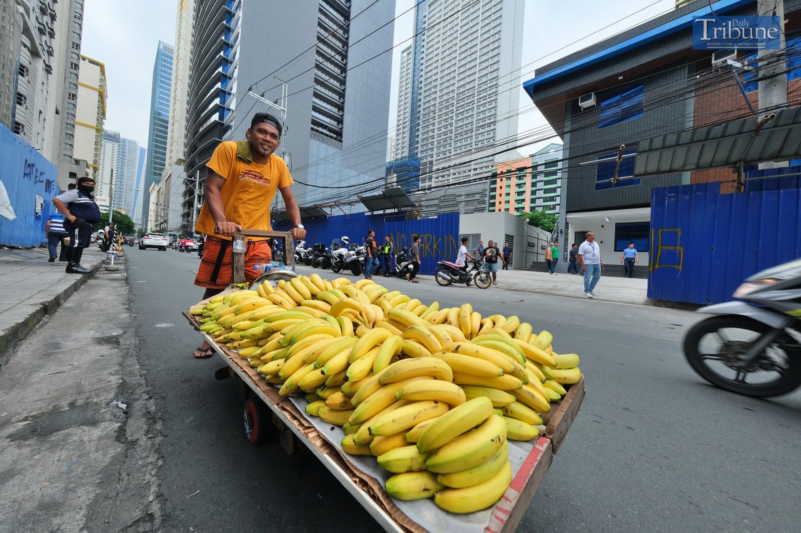 TRIBUNE-Bananas